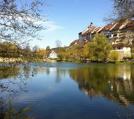 Die über 40 Fischweiher des Klosters St. Gallen