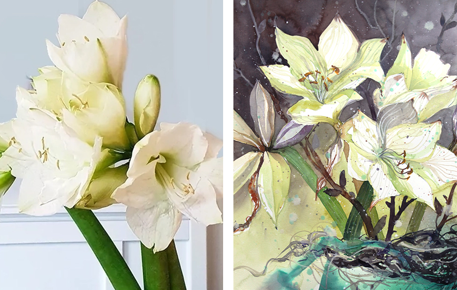 Aquarellkurs: Weisse Amaryllis