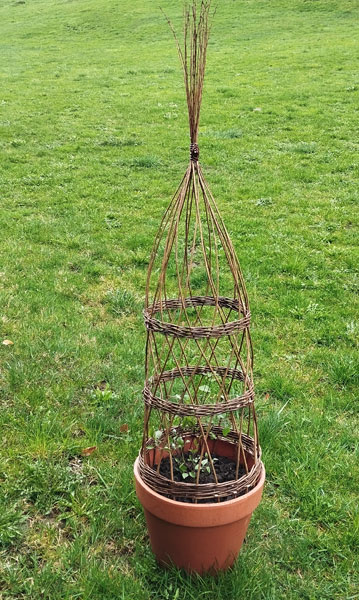 Rankturm flechten: Ein uraltes Handwerk hautnah erleben