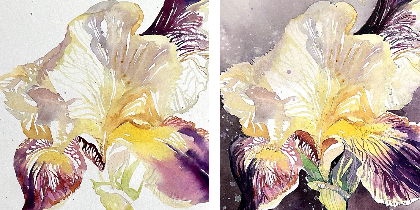 Aquarellkurs: Schwertlilie