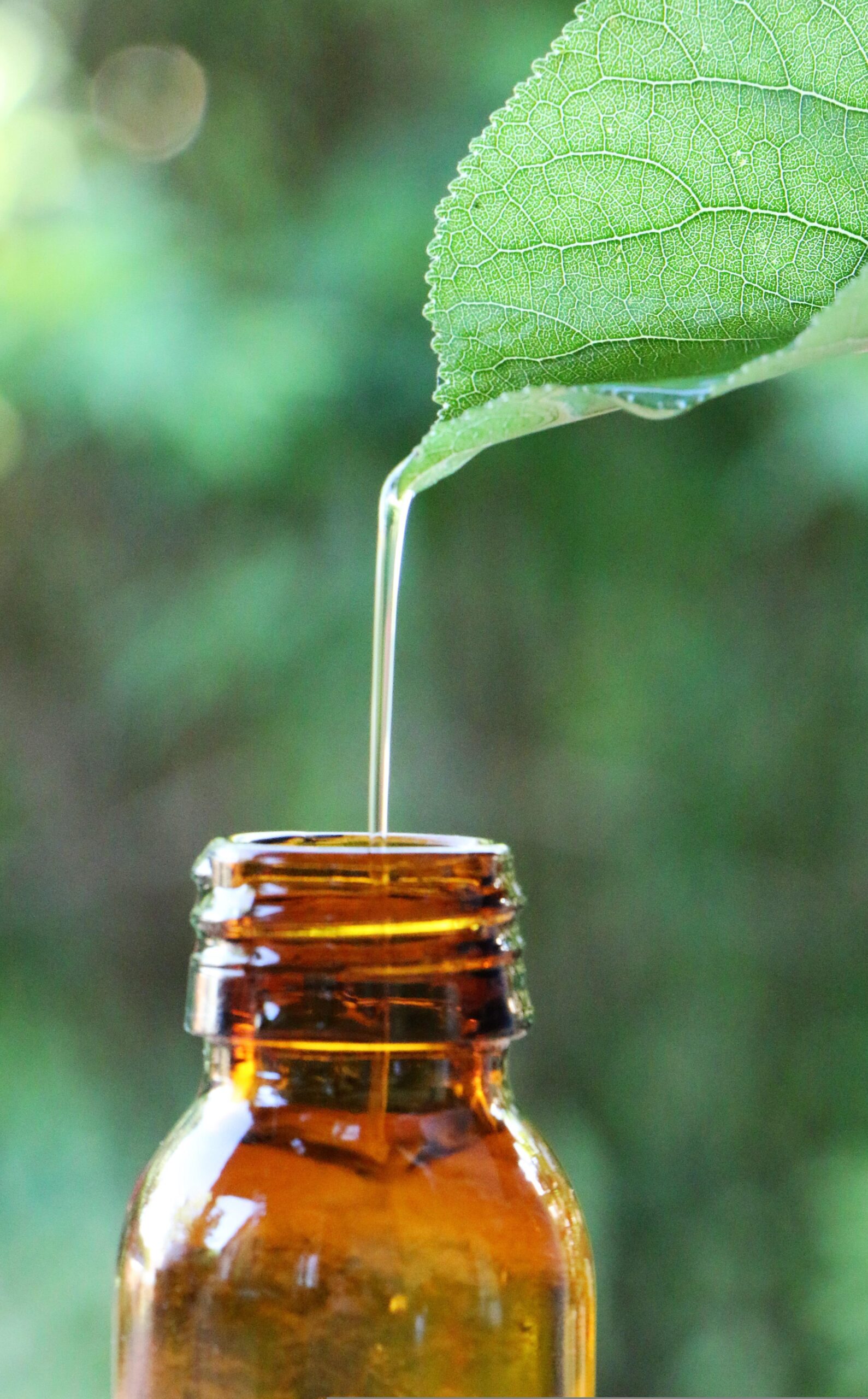Hydrolate und ätherische Öle selbst herstellen