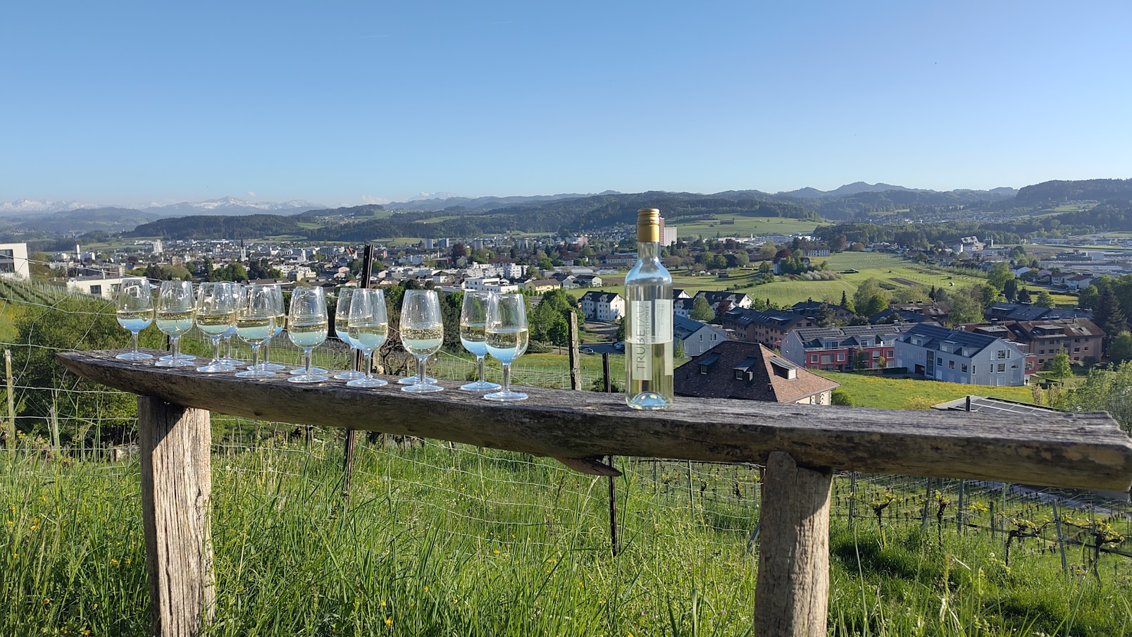 Wiler Rebberg, die neuen Weine